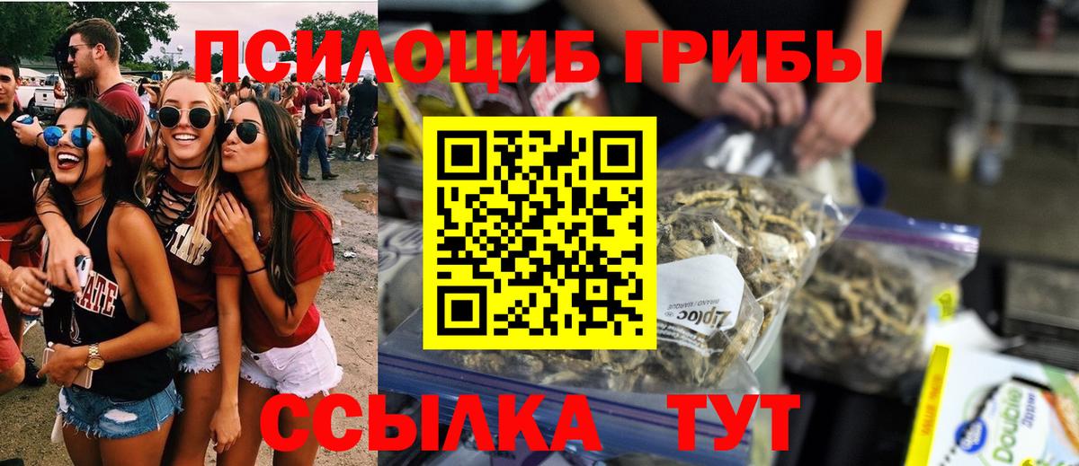 Калуга  Псилоцибиновые грибы мухоморы  Вход с VPN  Псилоцибиновые грибы MAGIC MUSHROOMS 