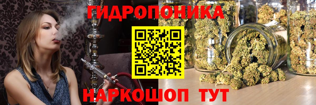 Канабис семена Калуга